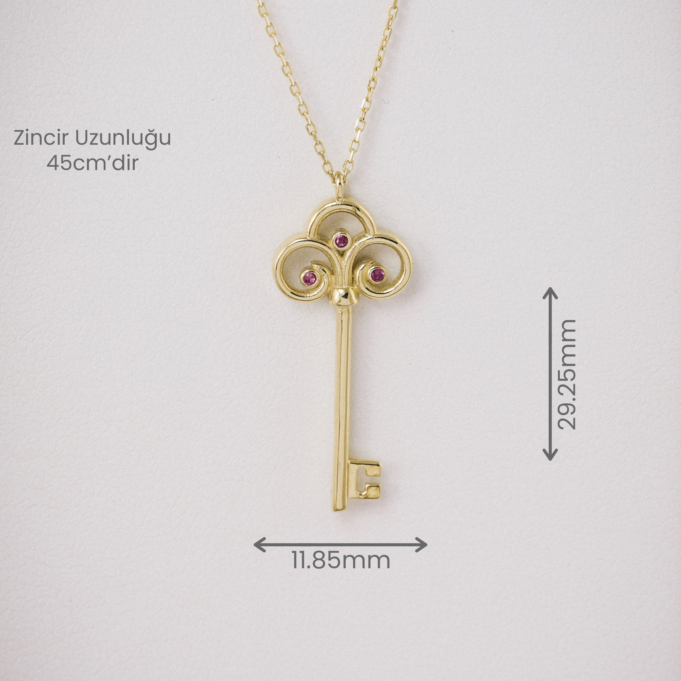 14 Ayar Altın Aşkın Anahtarı Kolye