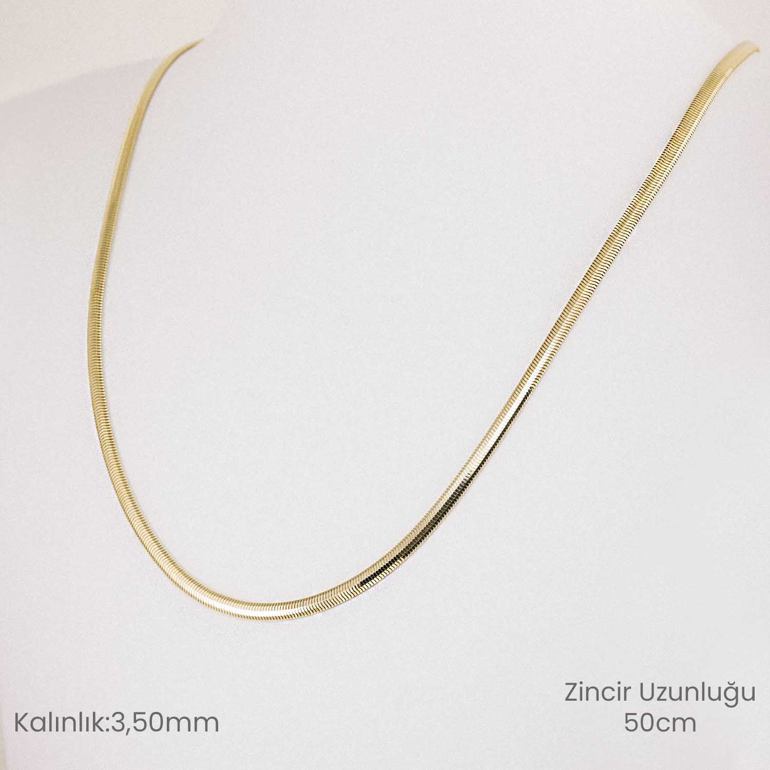 14 Ayar Altın Balık Sırtı Kolye - 50cm