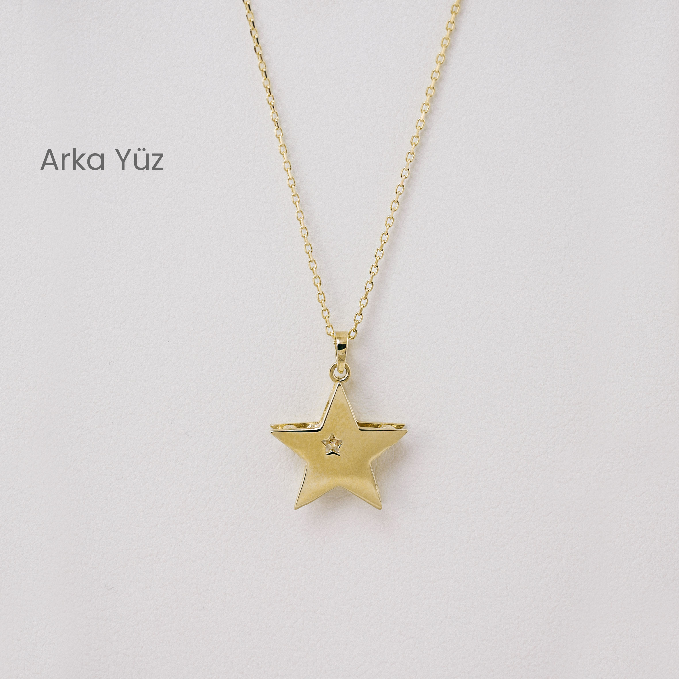 14 Ayar Altın Taş Detaylı Yıldız Figürlü Kolye