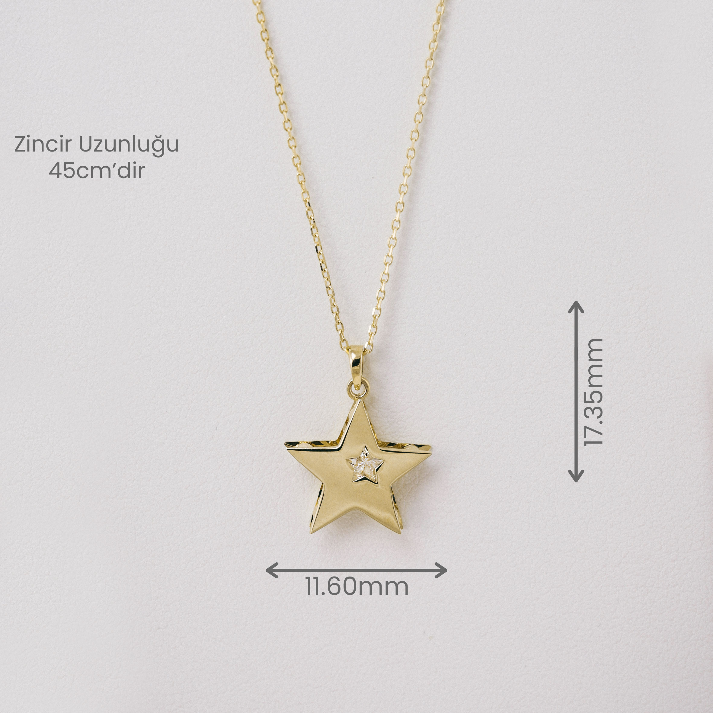 14 Ayar Altın Taş Detaylı Yıldız Figürlü Kolye