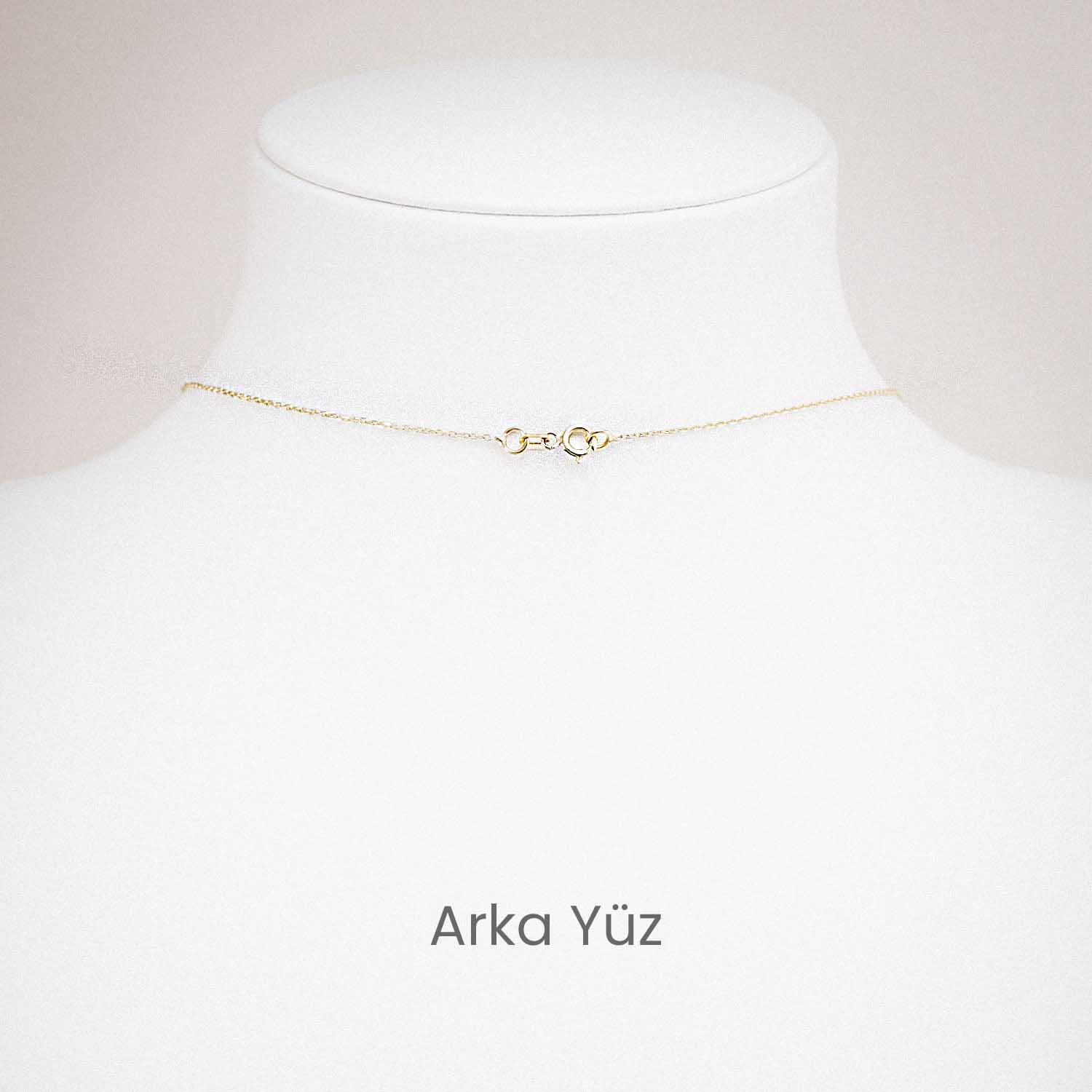 14 Ayar Altın Zarif V Formlu Işıltılı Kolye